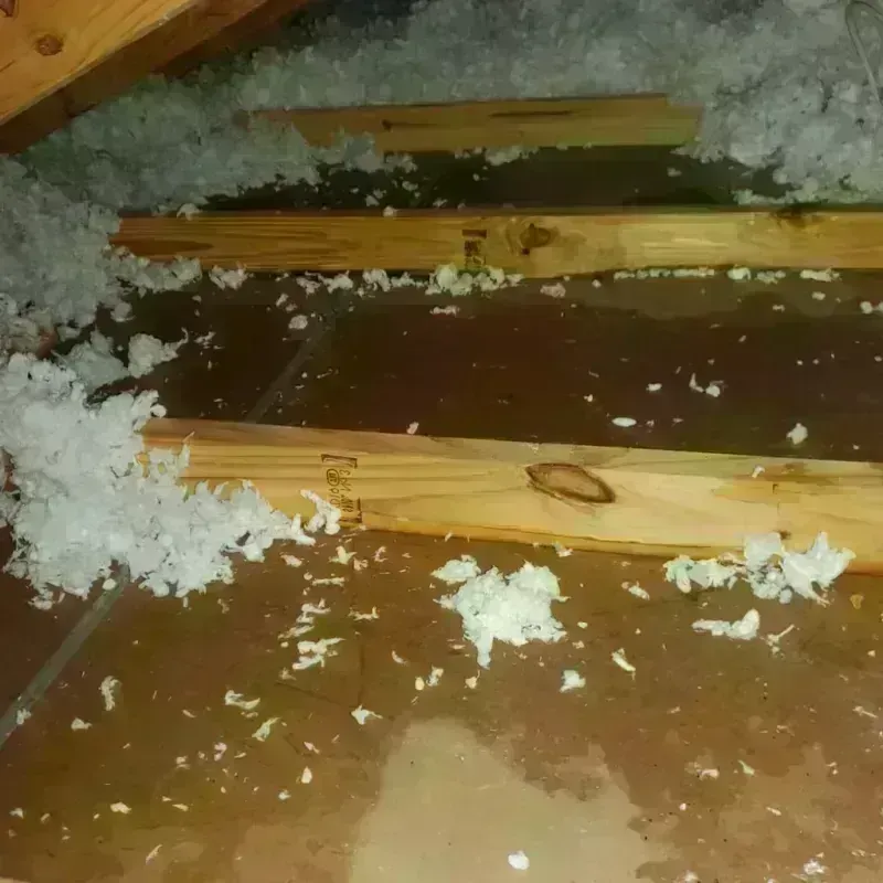 Attic Water Damage in Stillwater, OK