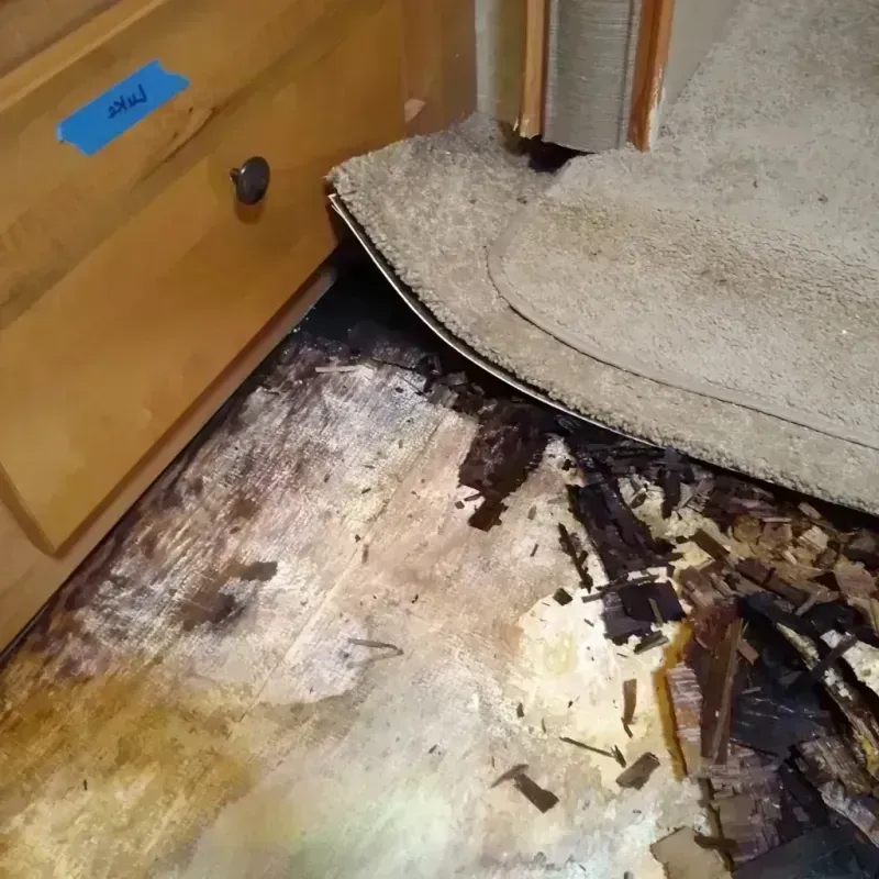 Wood Floor Water Damage in Stillwater, OK